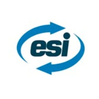 logo group esi